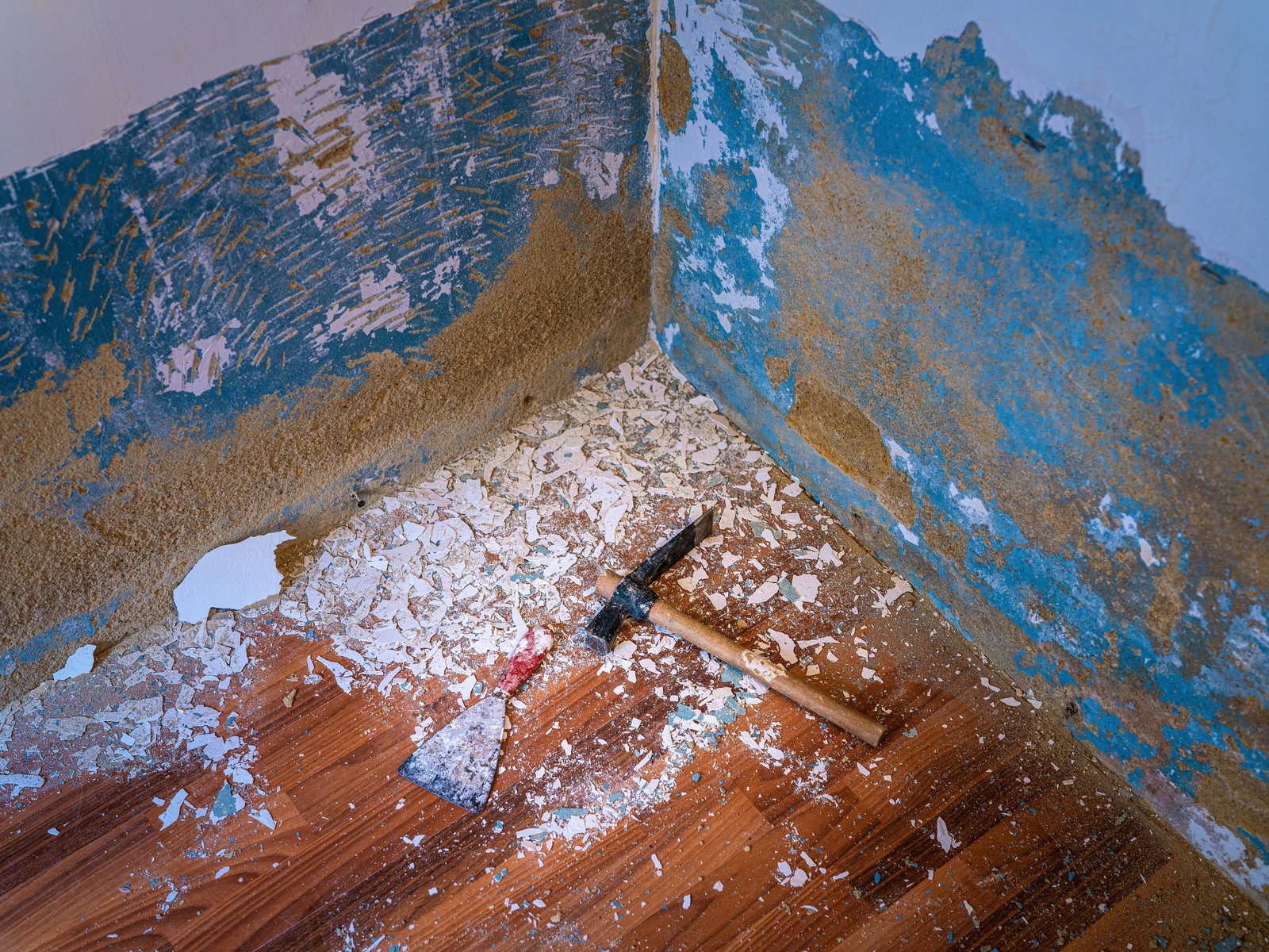 Image 4-Paint Removal
